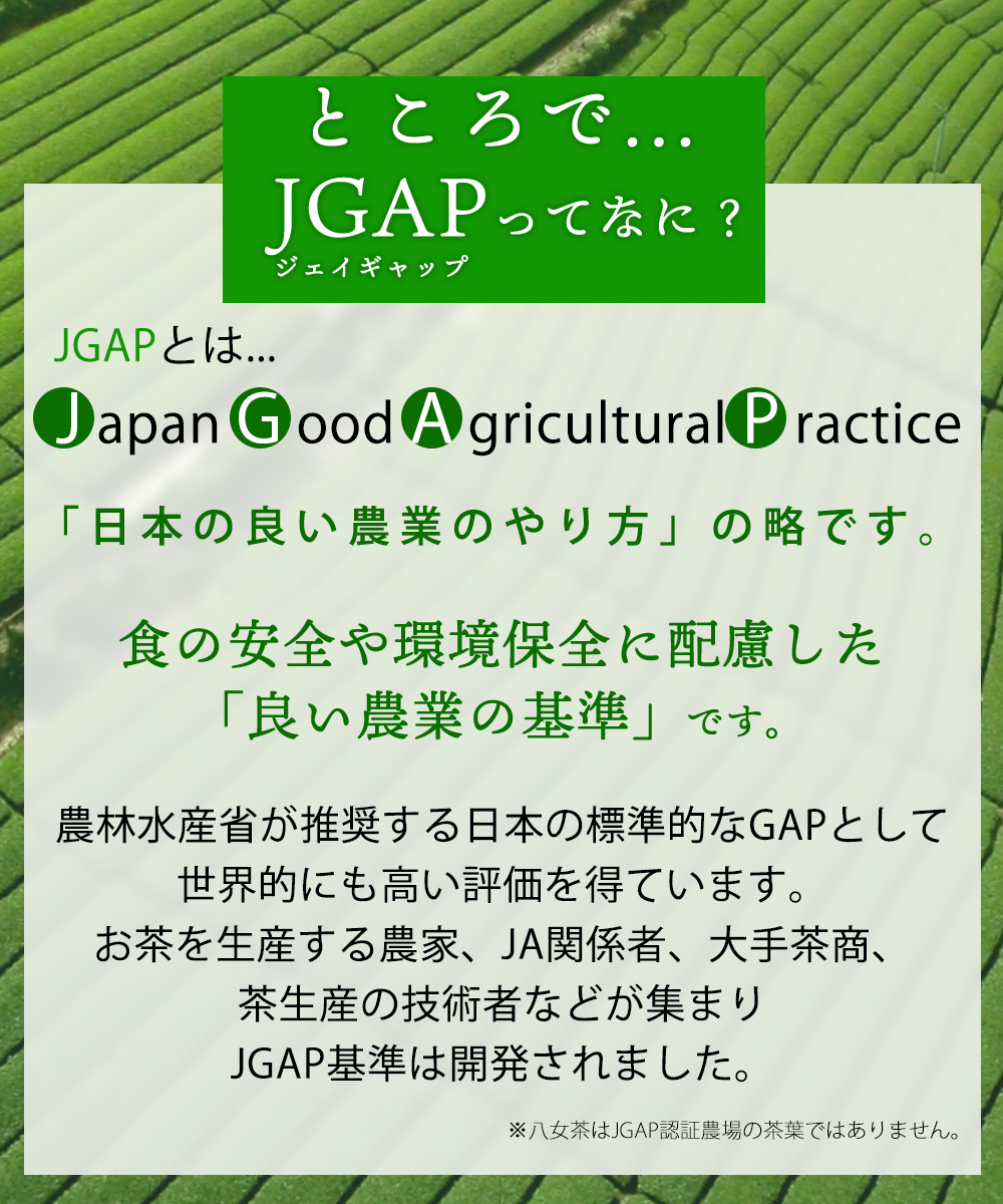 JGAP ジェイギャップ