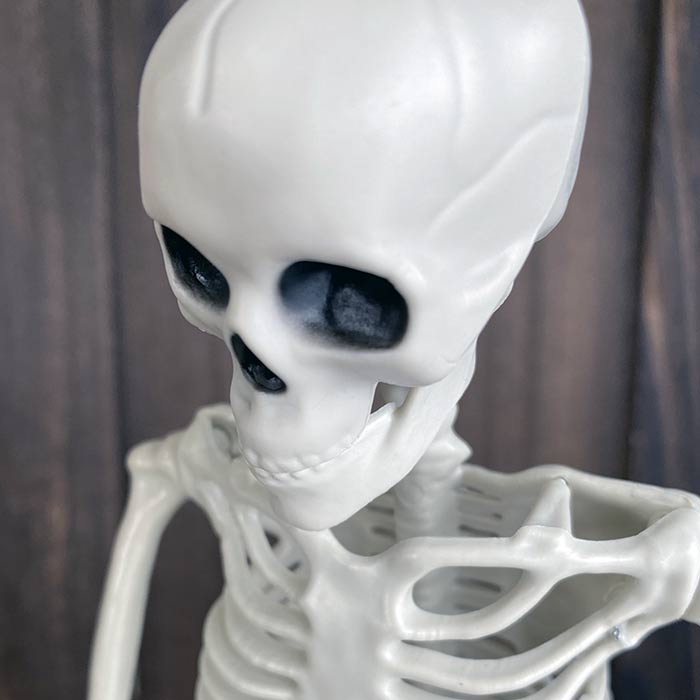 骸骨 ガイコツ フィギュア 36cm おもちゃ どくろ インテリア ホラー