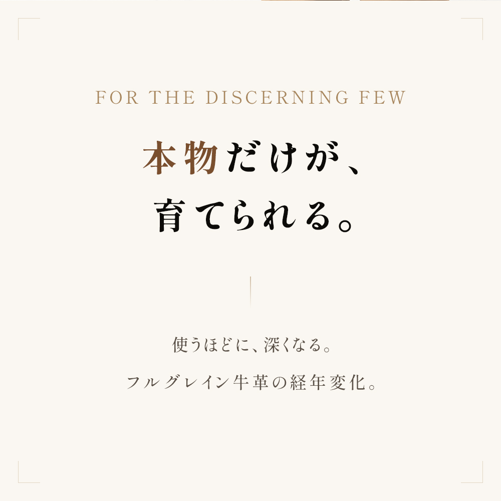リュック リュックサック バックパック メンズ 牛革 本革 レザー 革 革製品 ビジネスリュック A4 14インチPC 大容量 軽量 メッシュ 多機能 高級 上品 人気 J4313の画像