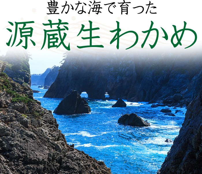 こだわり本舗源蔵三陸産生わかめ