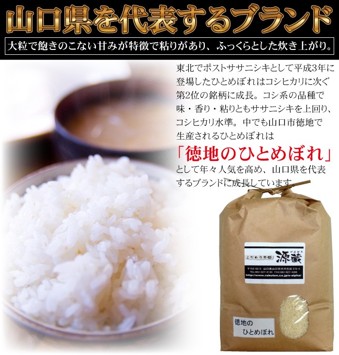 ひとめぼれ【徳地のひとめぼれ】令和5年度産 30Kg (10kg×3)精米（山口