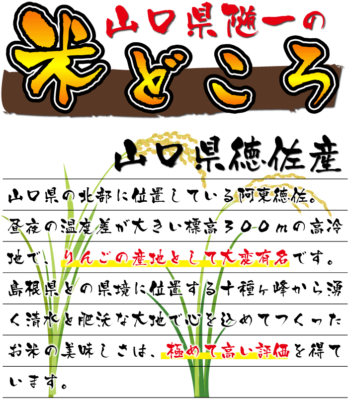 【山口県徳佐産】産地限定契約栽培米こしひかり徳佐の米源蔵