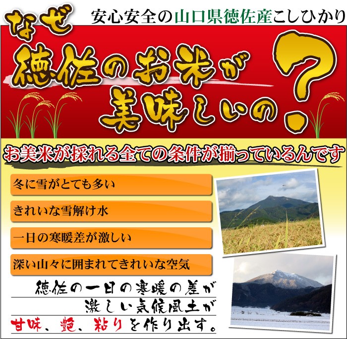 【山口県徳佐産】産地限定契約栽培米こしひかり徳佐の米源蔵