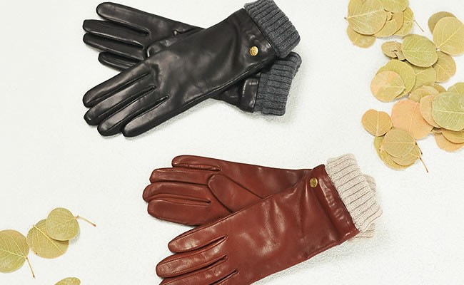 IL BISONTE イルビゾンテ レザーグローブ 手袋 レディース