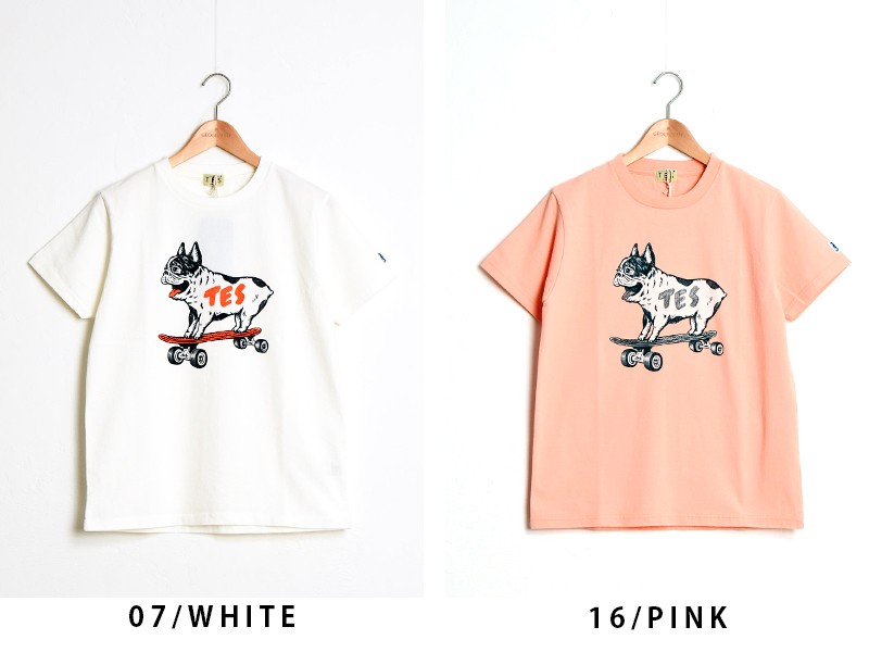 The Endless Summer TES Endress テス エンドレスサマー SKATE