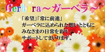 ஐガーベラஐページ！ ガーベラYahoo!店 - Yahoo!ショッピング