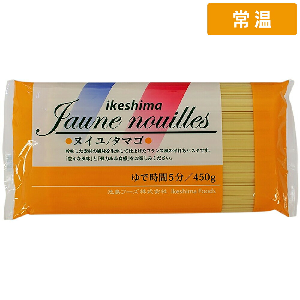 【常温便】 【ケース販売 30個入1ケース】池島 ヌイユ タマゴ 平打ちパスタ 450g 1個 平打ち麺 タリアテッレ風 ヌイユパスタ 卵入り 乾麺