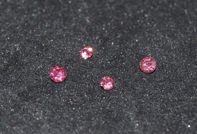 ライセンスフレーム