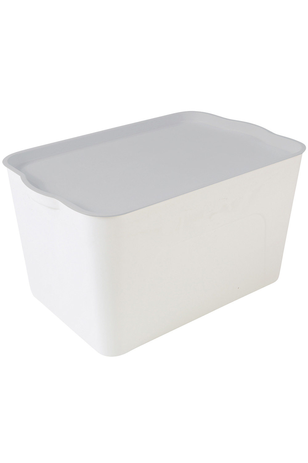 収納ボックス 収納ケース フタ付き おしゃれ プラスチック L