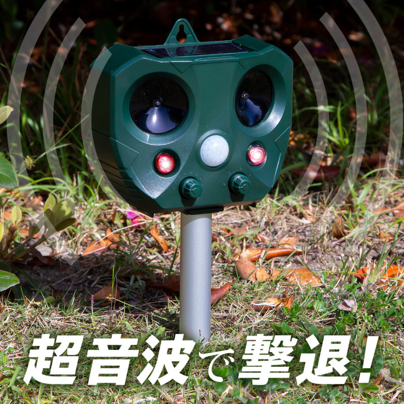 s-83683.jpg