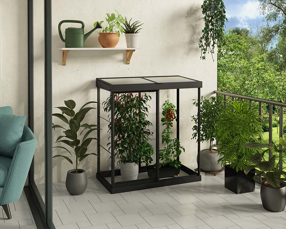 CANOPIA by PALRAM 4x2 IVY ミニ温室 グリーンハウス キット