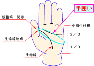 手囲い