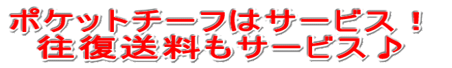 ポケットチーフ/サービス 往復送料/サービス