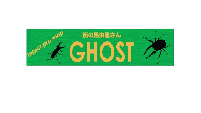 昆虫ショップ GHOST ロゴ