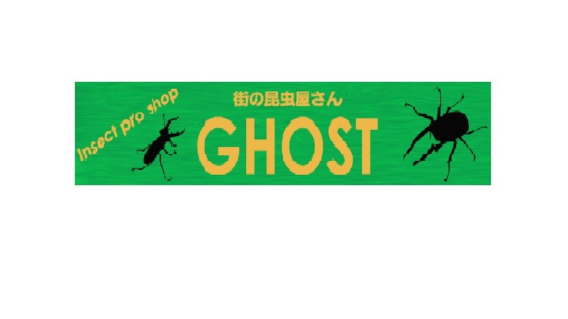 昆虫ショップ GHOST