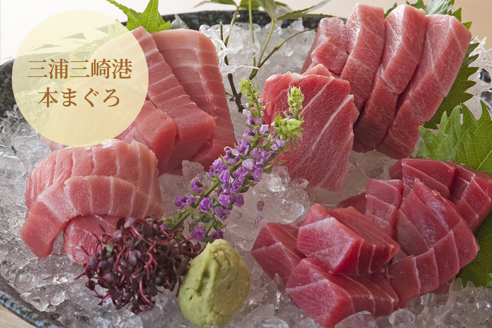 三浦三崎港 本まぐろ 大トロ/中トロ/赤身 各100g【マグロ刺身】【送料無料 ギフト プレゼント 誕生日 お祝い 内祝い】【お歳暮 七五三】 :  fdc0022 : 産直グルメギフト専門店ギフチョク - 通販 - Yahoo!ショッピング