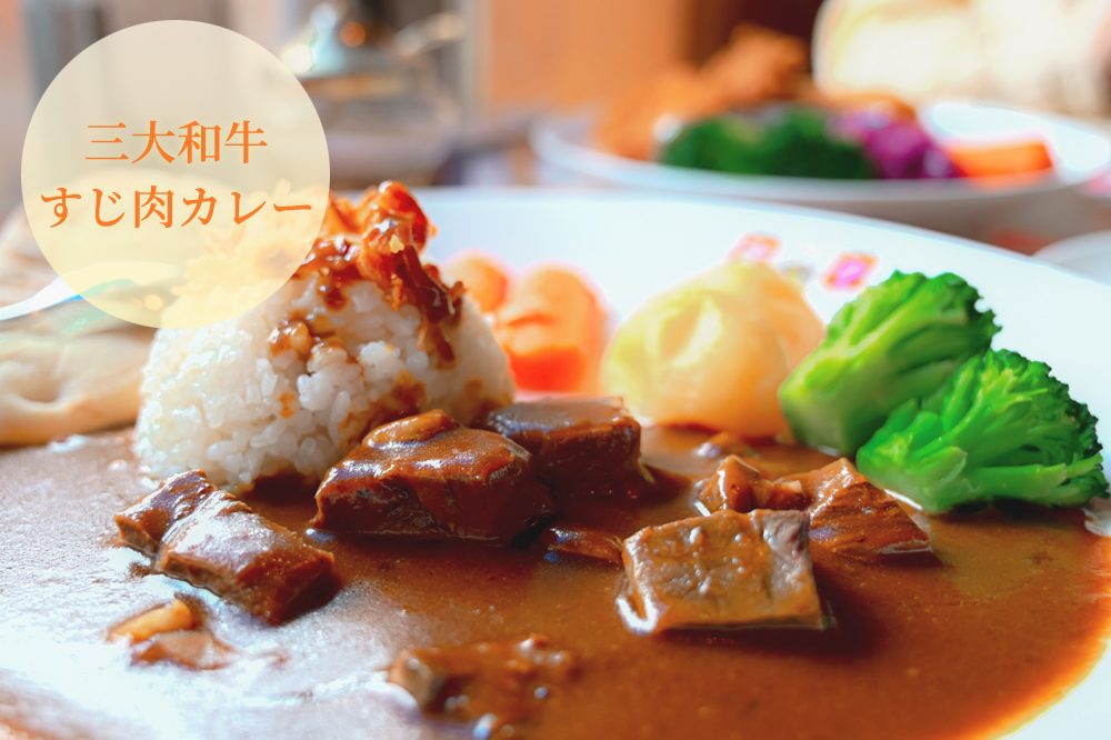 三大和牛すじ肉カレー