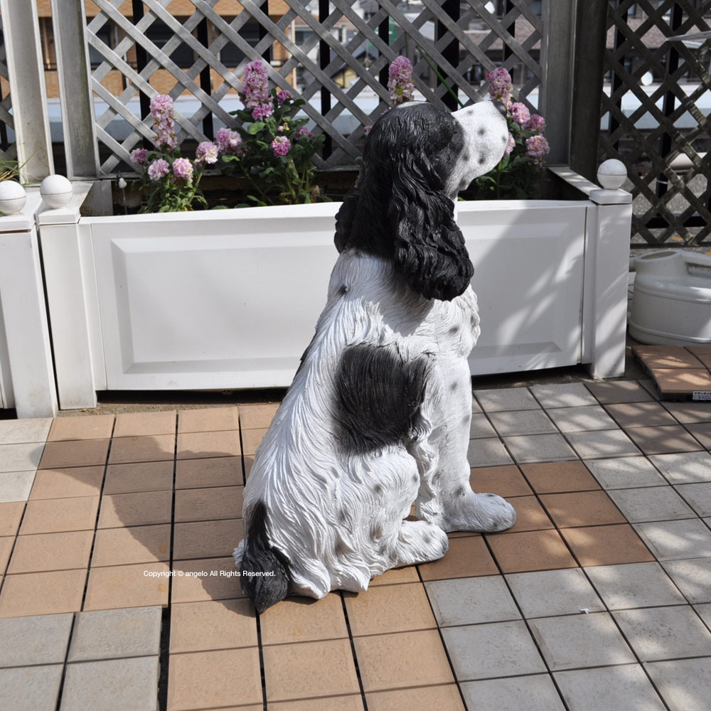 M1058S イタリア製　Italy 犬　置物　大型犬　玄関　インテリア 楽天市場】犬 置物（高さ（cm）高さ：30 ～ 39.9cm）の通販