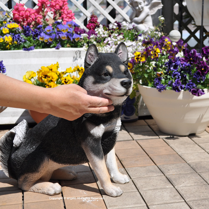 【送料無料】犬置物【ガーデニング雑貨】クロ柴犬  庭 玄関 柴犬 シバイヌ くろしばガーデニング ガーデン 雑貨 オーナメント おしゃれ 置物｜gift-angelo｜03