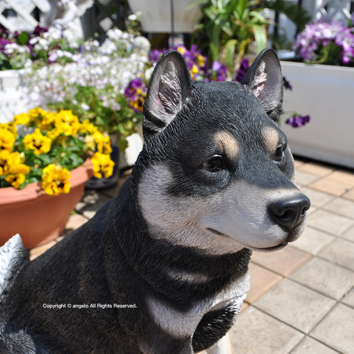 【送料無料】犬樹脂置物【ガーデニング雑貨】クロ柴犬  庭 玄関 柴犬 シバイヌ くろしば　ガーデニング ガーデン 雑貨 オーナメント おしゃれ 置物 |  | 07