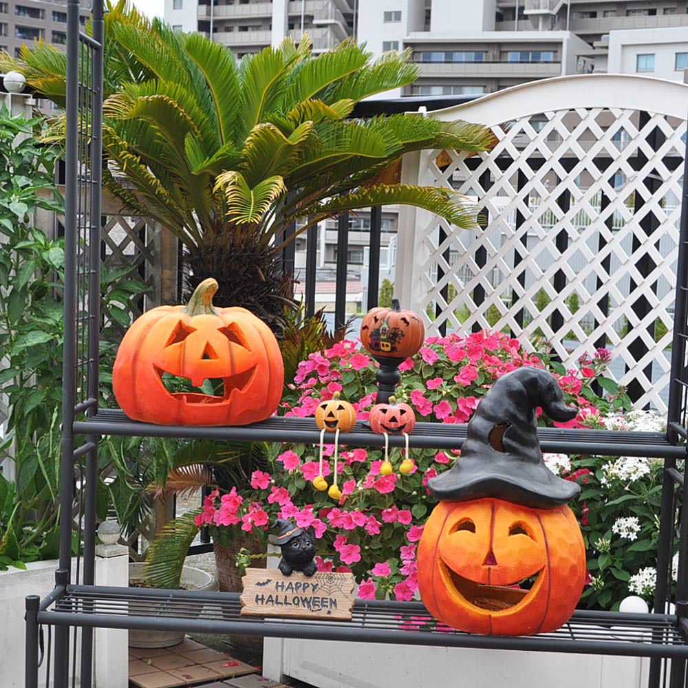 HALLO WEEN】ハロウィン クロネコ【黒猫ウエルカム