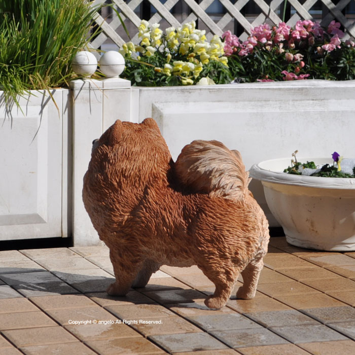 ポメラニアン【ガーデニング雑貨】ドッグ【犬置物】 お庭や玄関