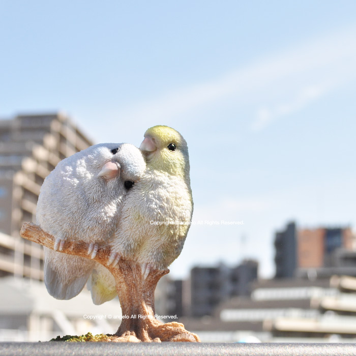 ガーデニング雑貨【インコ ラブ】小鳥オーナメント 小鳥置物 玄関