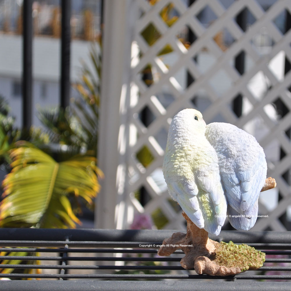 ガーデニング雑貨【インコ ラブ】小鳥オーナメント 小鳥置物 玄関