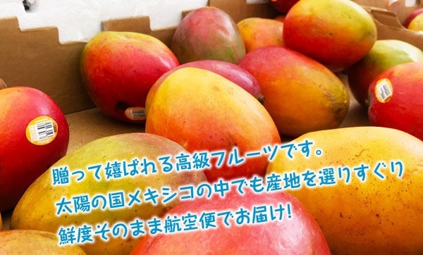 メキシコ産 6個 アップル マンゴー
