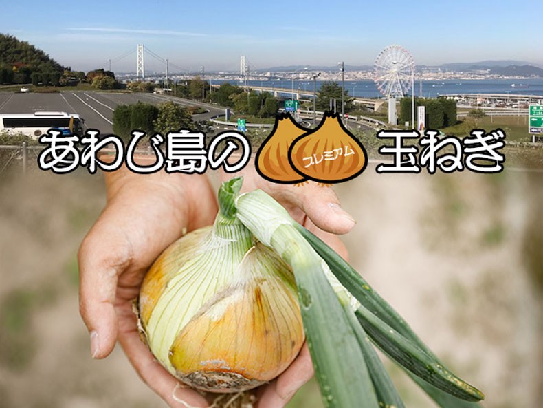 淡路島【玉ねぎ4】たまねぎ1箱あわじ島産タマネギ家庭用・ギフト・お中元でもOK・送料無料