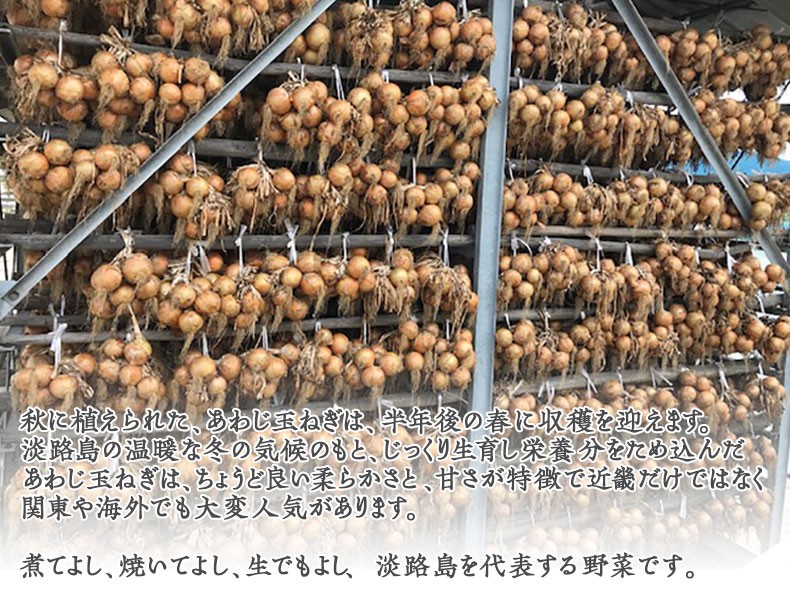 淡路島【玉ねぎ7】たまねぎ1箱あわじ島産タマネギ家庭用・ギフト・お中元でもOK・送料無料