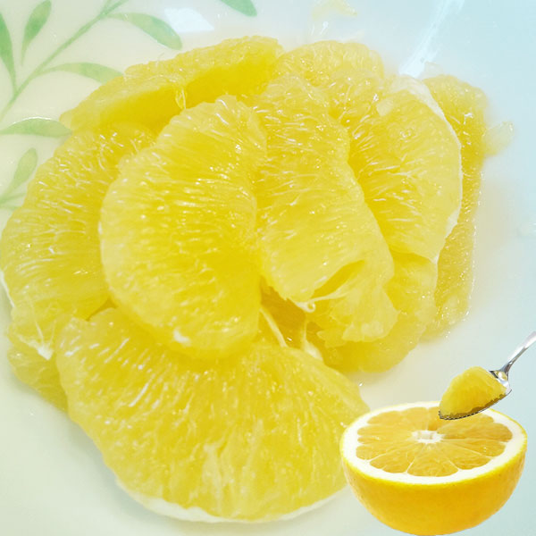 訳あり 愛媛 河内晩柑 10kg 大玉 2L〜3Lサイズ混合(バラ詰め) 宇和