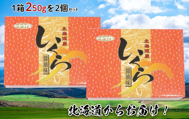 いくらの醤油漬け「北海道産いくら」