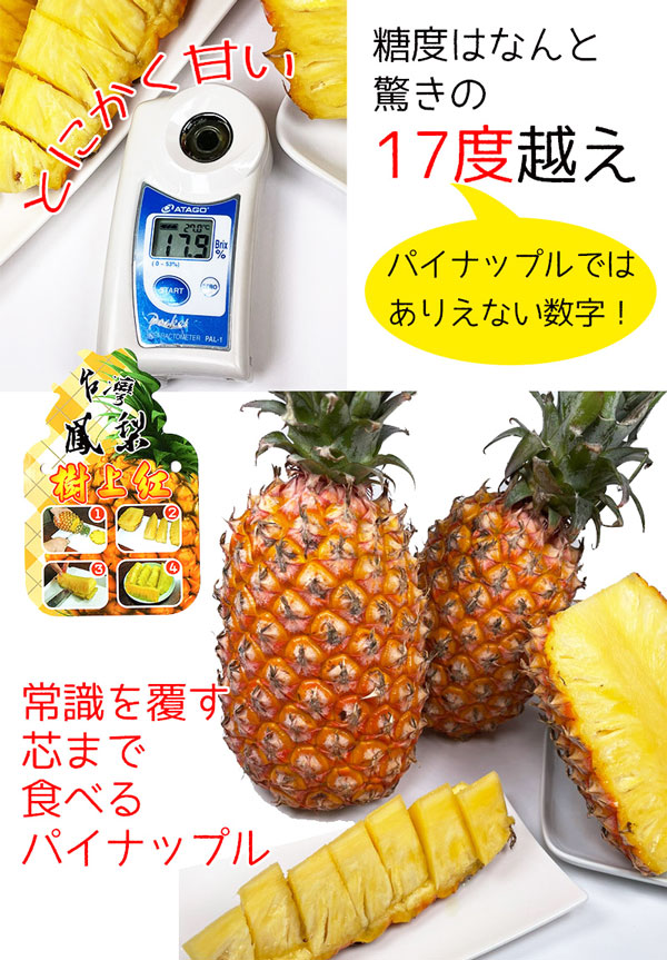 ・ギフト・お中元でもOK・送料無料