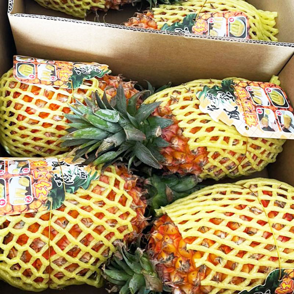 ・ギフト・お中元でもOK・送料無料