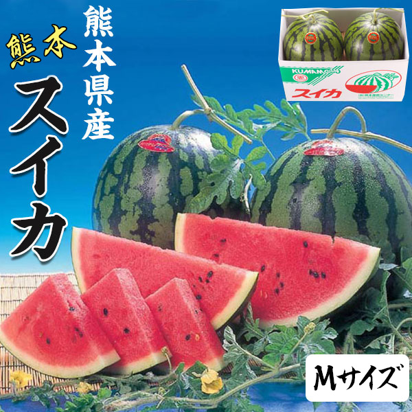 冬 スイカ 