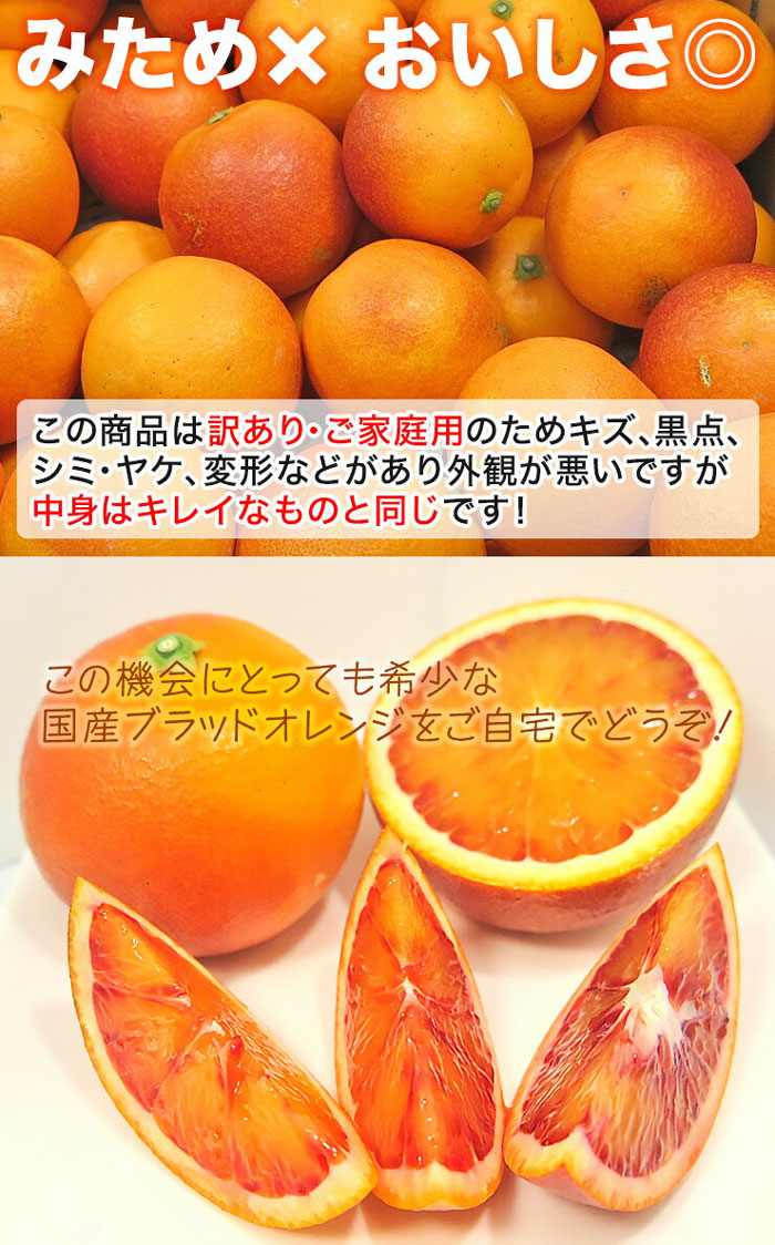 ブラッドオレンジ 訳あり