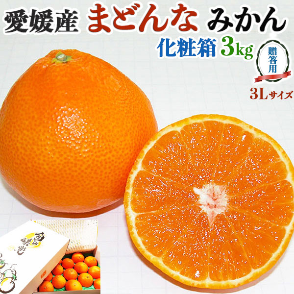 愛媛県産 まどんな みかん 約3kg 贈答用 3Lサイズ10玉 愛果28号 あいか