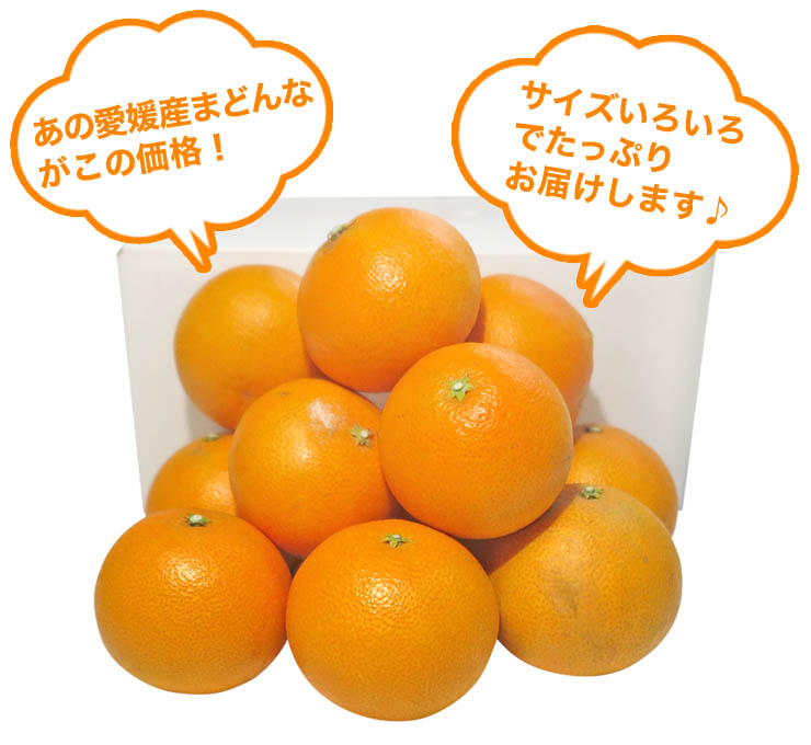 小玉 愛まどんな 10kg(愛果28号 みかん アイカ) 訳あり 家庭用 サイズ
