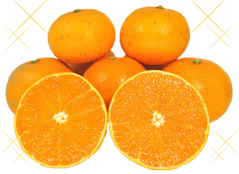 愛媛 訳あり せとか2