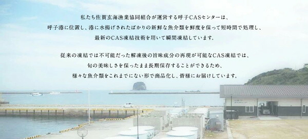 ・ギフト・お中元でもOK送料無料