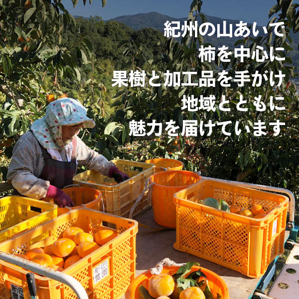 みかん4