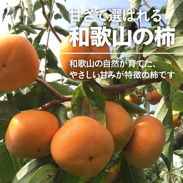 みかん2