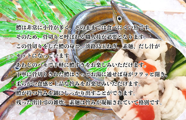 淡路島産　鱧すきセット　2人前 (はも上身300g、だし汁200cc、玉ねぎ2個、素麺3束)　