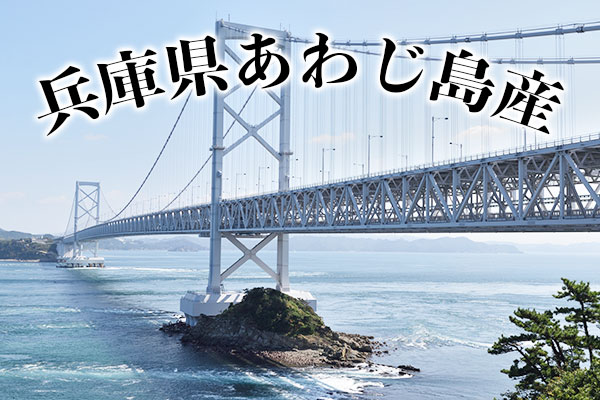 淡路島産　鱧すきセット　4人前 (はも上身600g、だし汁200cc、玉ねぎ2個、素麺3束)　