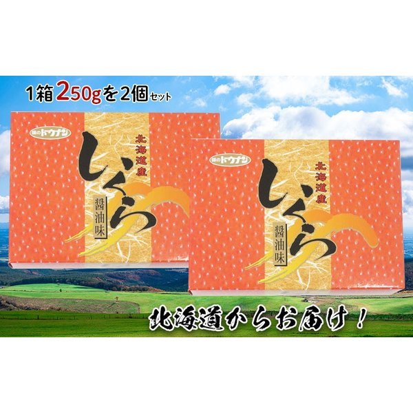 いくらの醤油漬け「北海道産いくら」1箱250g×2　合計500g