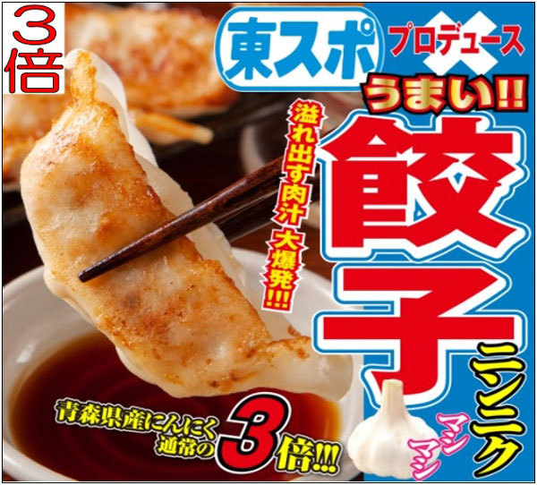 餃子 2 TVで紹介 東スポ餃子 2パック 合計2.2kg 100個 青森県産