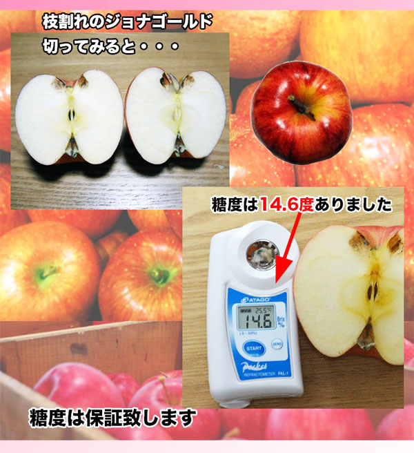 母の日 プレゼント ギフト 2023