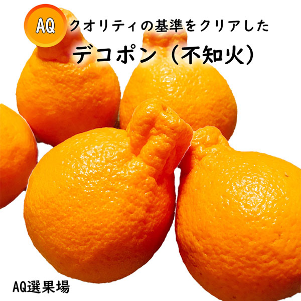 【雪うさぎ】不知火（デコポン）4Kg×２箱　　【２箱縛りでの発送】 ギフト デコポン みかん 不知火 送料無料 秀品 4kg M〜2Lサイズ デコ