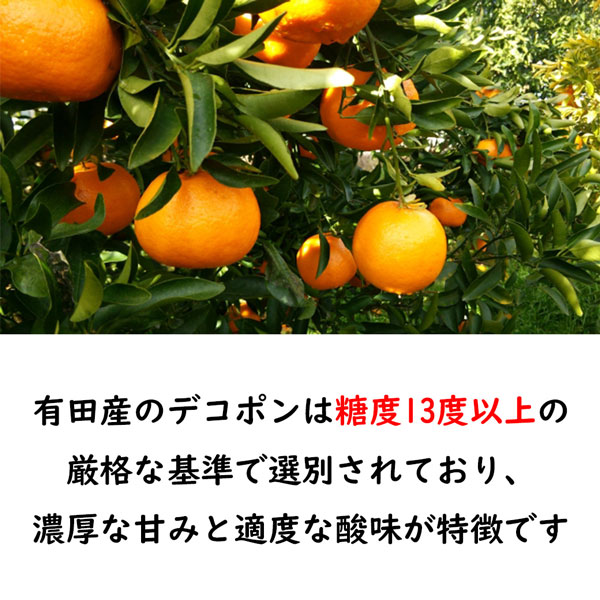 デコポン 有田 不知火 みかん 4kg以上 (5kg箱) 秀品 茶段ボール箱 3L